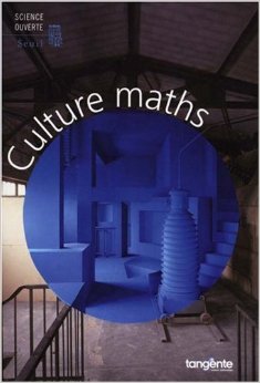 Couverture du livre Culture maths de Nicolas Witkowski