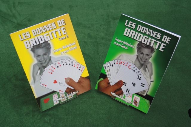 Couverture du livre Les donnes de Bridgitte Tome 1 & 2 de Louis Jean Guénebault