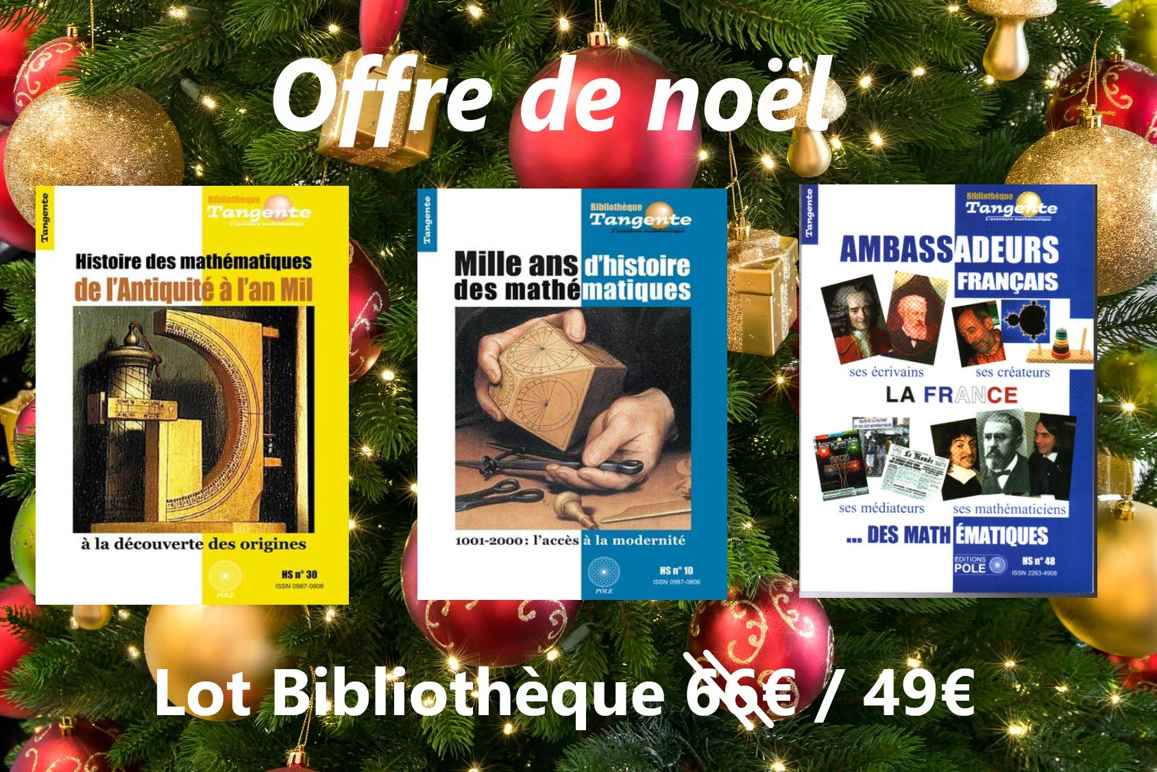 Couverture du livre Lot bibliothèque histoire des maths